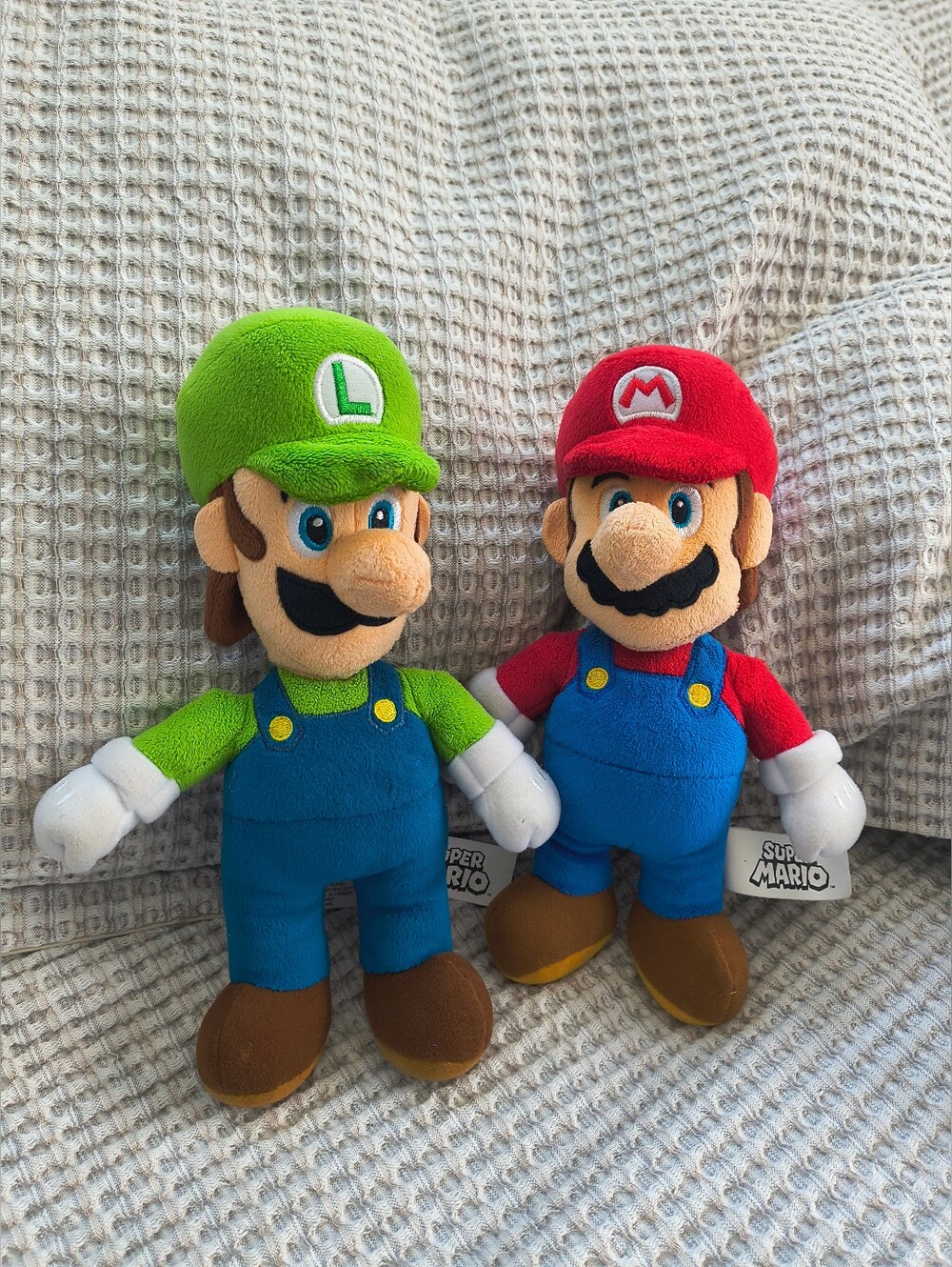 Nintendo Luigi & Mario Duo 10" Plush Super Mario Brothers by Jakks Pacific 2021